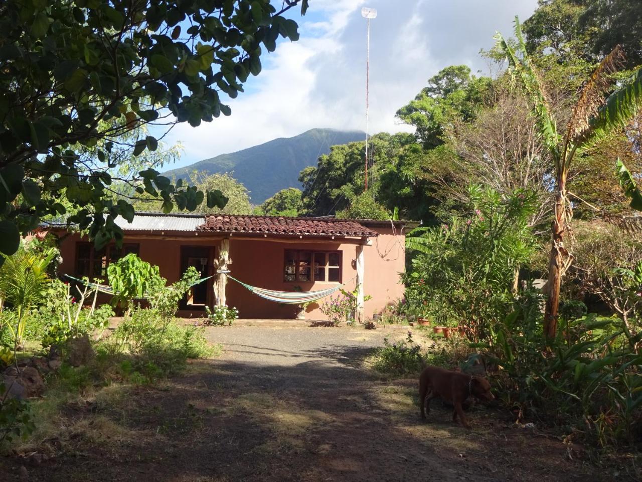 Casa Papaki Apartment Merida Exterior photo