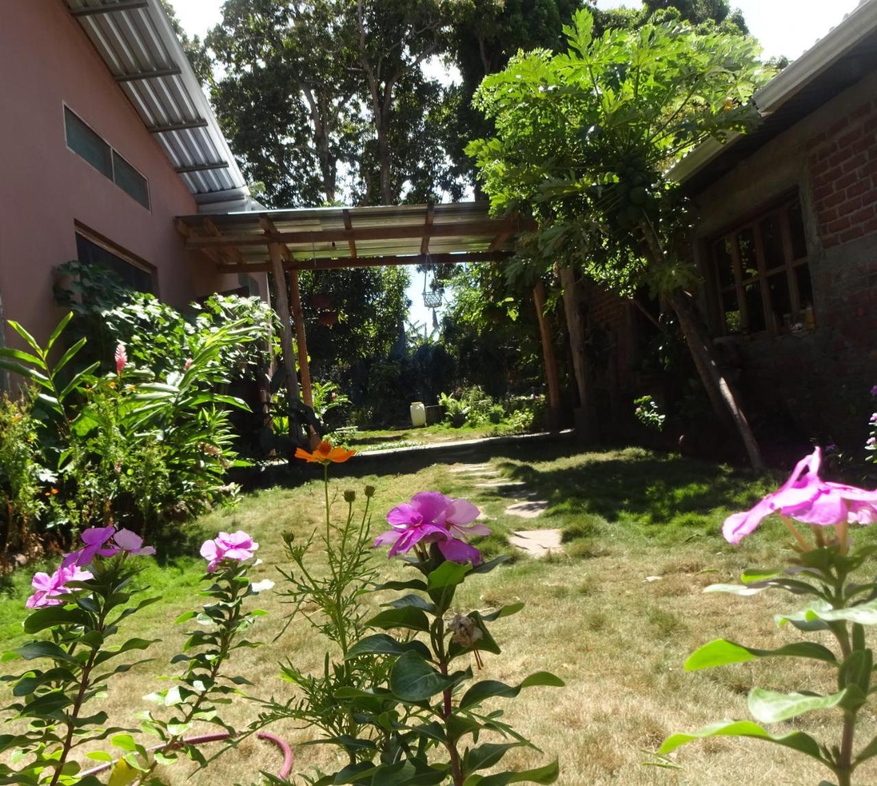 Casa Papaki Apartment Merida Exterior photo