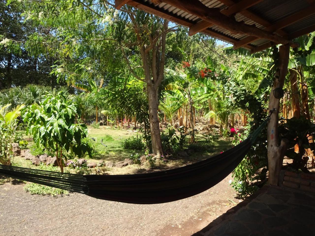 Casa Papaki Apartment Merida Exterior photo